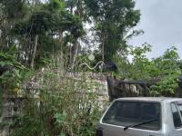 Sitio Bairro Jaboticabal 3 casas . Area 17,9 ha