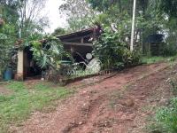 Sitio Bairro Jaboticabal 3 casas . Area 17,9 ha