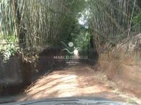 Sitio Bairro Jaboticabal 3 casas . Area 17,9 ha