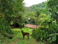 Sitio Bairro Jaboticabal 3 casas . Area 17,9 ha
