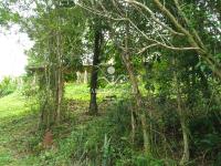 Sitio Bairro Jaboticabal 3 casas . Area 17,9 ha