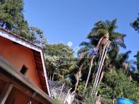 Sitio Bairro Jaboticabal 3 casas . Area 17,9 ha