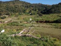 Terreno 65 MIL m²  Bairro Cavalinho Branco -Águas de Lindóia