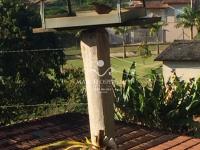 Chácara no Bairro Barreiro em Águas de Lindóia.Produzindo frutos