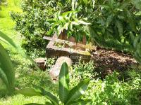 Chácara com  2 tanques de peixes e 4 nascentes de agua captada.