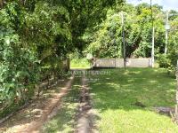 Chácara com  2 tanques de peixes e 4 nascentes de agua captada.