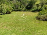 Chácara com  2 tanques de peixes e 4 nascentes de agua captada.