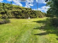 Chácara com  2 tanques de peixes e 4 nascentes de agua captada.