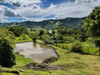Chácara com  2 tanques de peixes e 4 nascentes de agua captada.