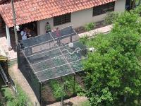 Chácara com  2 tanques de peixes e 4 nascentes de agua captada.