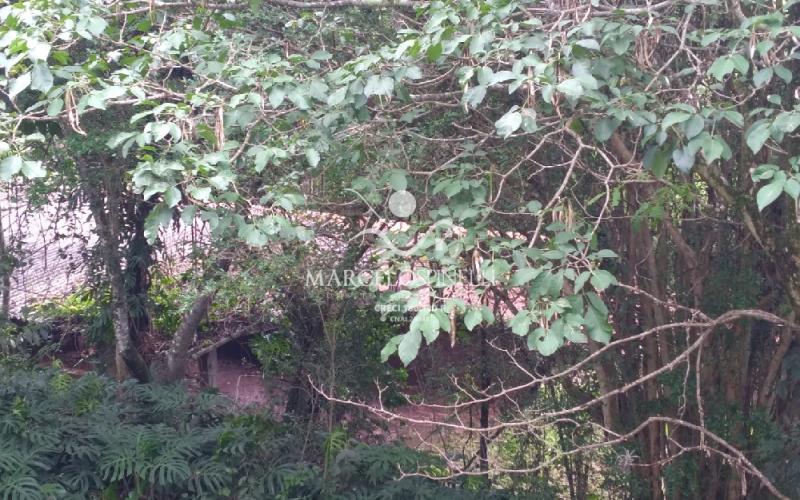 Sitio Bairro Jaboticabal 3 casas . Area 17,9 ha