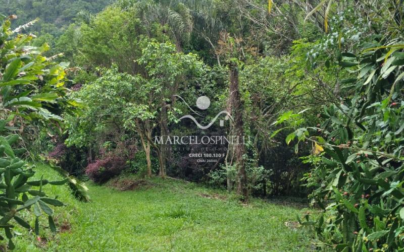 Sitio Bairro Jaboticabal 3 casas . Area 17,9 ha