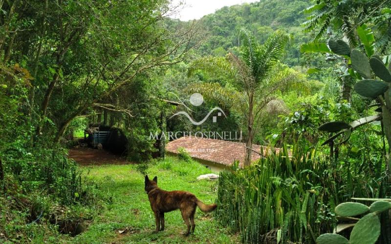 Sitio Bairro Jaboticabal 3 casas . Area 17,9 ha