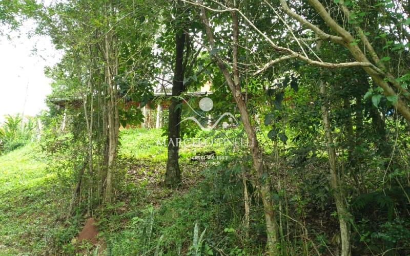 Sitio Bairro Jaboticabal 3 casas . Area 17,9 ha