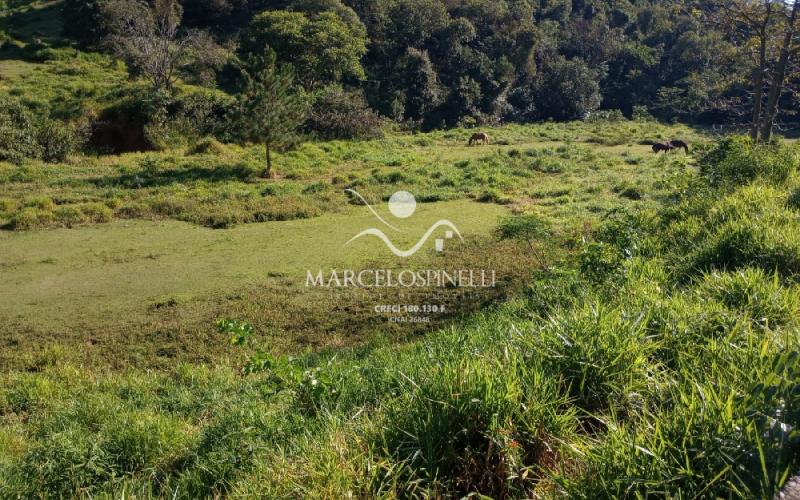 Terreno 65 MIL m²  Bairro Cavalinho Branco -Águas de Lindóia