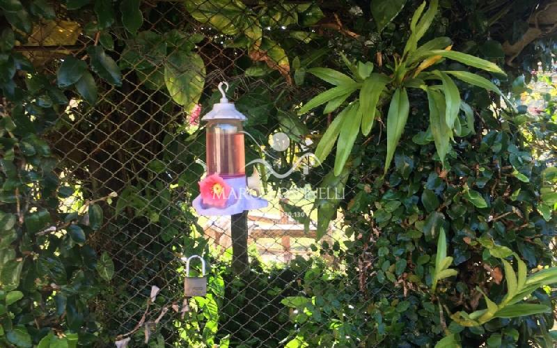 Chácara no Bairro Barreiro em Águas de Lindóia.Produzindo frutos
