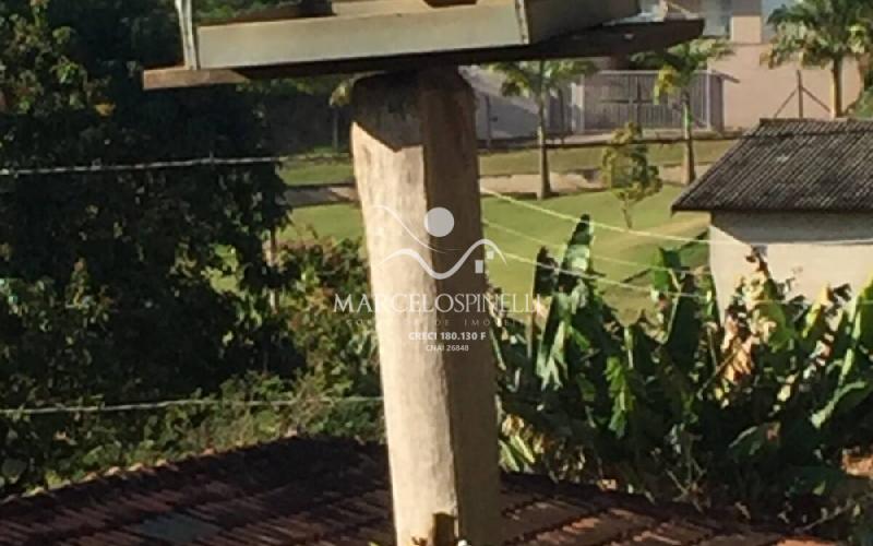 Chácara no Bairro Barreiro em Águas de Lindóia.Produzindo frutos