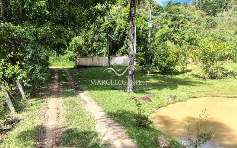 Chácara com  2 tanques de peixes e 4 nascentes de agua captada.