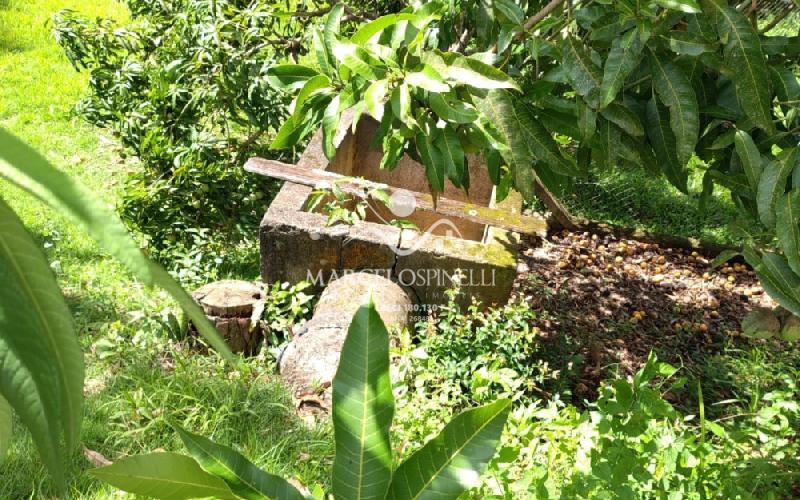 Chácara com  2 tanques de peixes e 4 nascentes de agua captada.