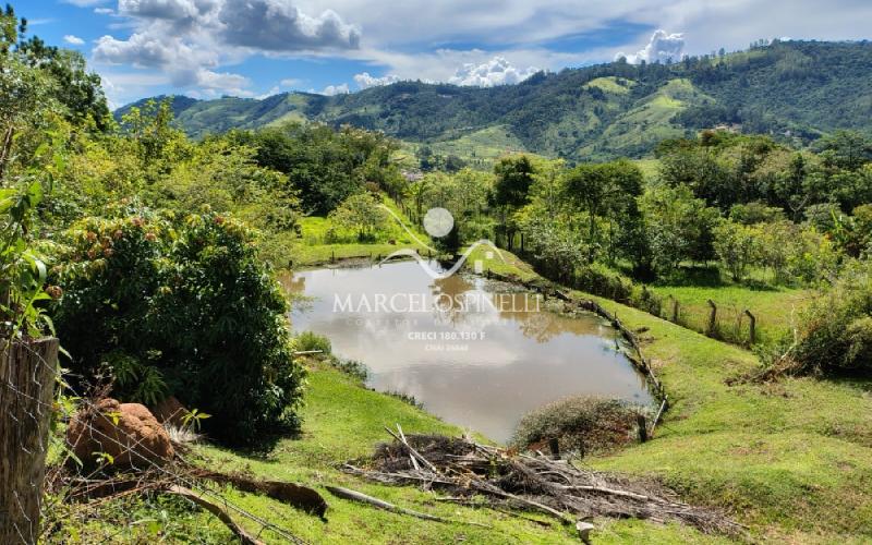 Chácara com  2 tanques de peixes e 4 nascentes de agua captada.