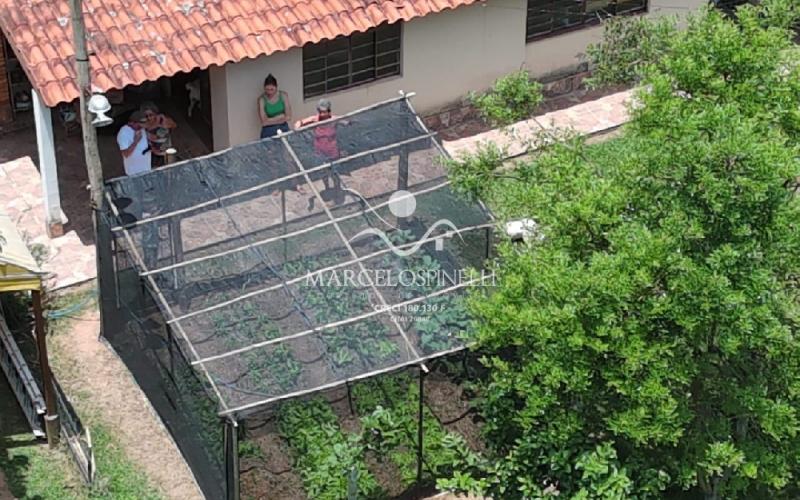 Chácara com  2 tanques de peixes e 4 nascentes de agua captada.